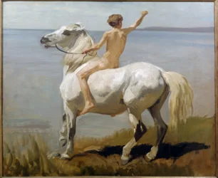 Dreng på en hvid hest