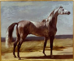 Hest i et landskab
