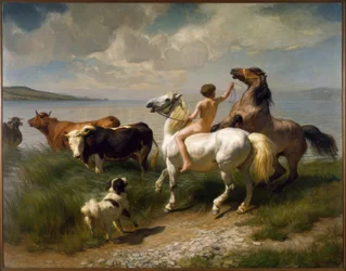 Hestedam