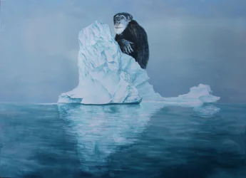 Chimpanse på et isbjerg