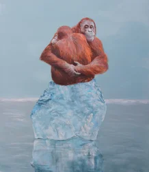 Orangutangens iskold omfavnelse