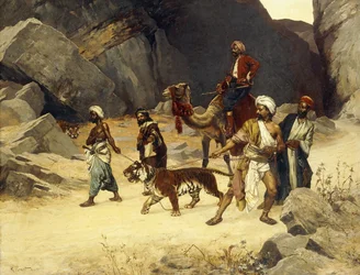 Tigerjagten, 1896