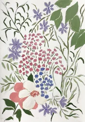 Farverige blomster i haven