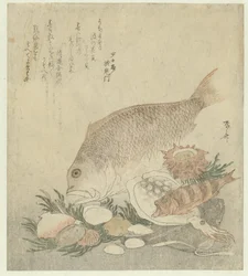 Fisk og Skaller