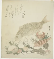 Fisk og skaller