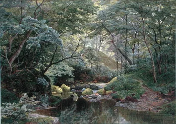 En skovstrøm