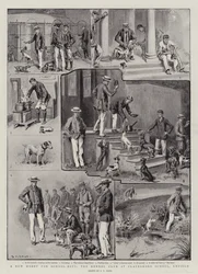 En ny hobby for skoledrenge, Kennelklubben på Clayesmore School, Enfield