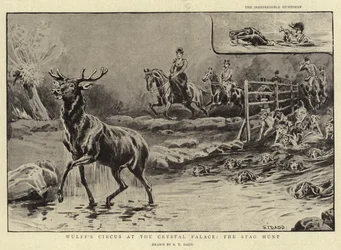 Wulffs cirkus i Crystal Palace, hjortejagten