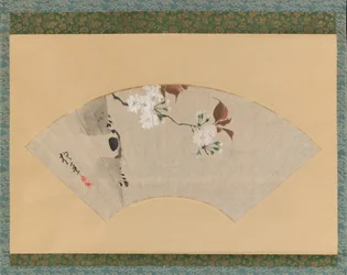 Kirsebærblomster, 1700-tallet.