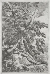 Sankt Vilhelm Eremitten, ca. 1662.