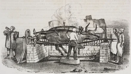 Kolossal stege, litografi af Salvatore Puglia fra Poliorama Pittoresco, nr. 4, 2. september