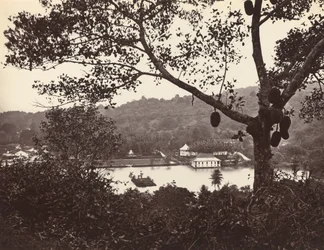Et kig fra Upper Lake Road, der viser tempel og ø med park - frugttræ i forgrunden, c1865.