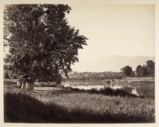 Beej Bihara var Jhelum