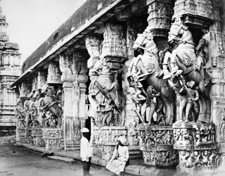 Udskårne hestesøjler i Ranganatha-templet, Srirangam, 1869