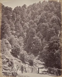 Shimla. Udsigt mod nord over Mount Jakko