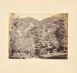 Simla; Jakko, fra "Oakover" (generel udsigt fra Tonga Road)