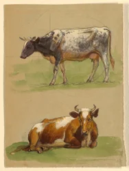 Tegning, Kvæg, en ko, der går, og en ko, der sidder på hug, 1875-80