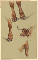 Tegning, Skitser fra Narragensett, Rhode Island, 1871
