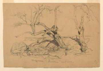 Tegning, studier. Træer, Santa Barbara, Californien, 3. februar 1888