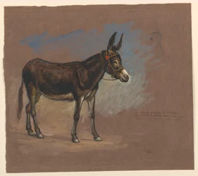 Tegning, studie. Et muldyr, 1872-75