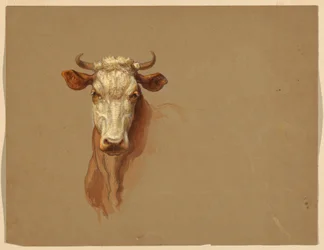 Tegning, to studier.  Kvæg, 1876