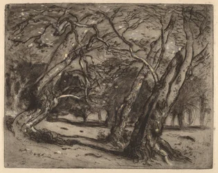Uden titel (Skovlandskab)