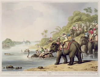 Jagt på en tiger over en flod, fra Oriental Field Sports, udgivet af Edward Orme, 1807 (tryk)
