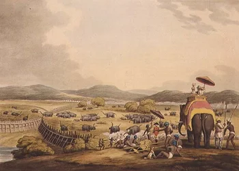 Driving Elephants Into A Keddah, fra "Oriental Field Sports", pub. af Edward Orme