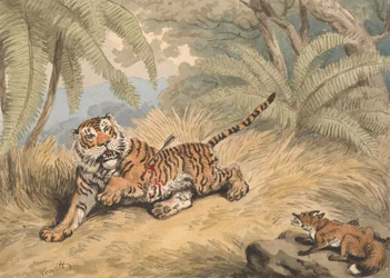 En tiger gennemboret med en pil