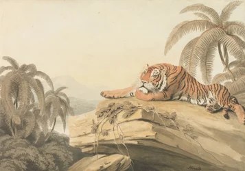 En hvilende tiger: frontispicen til "Oriental Field Sports"