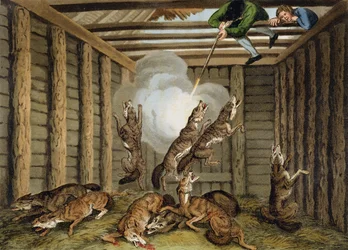 American Anecdote: Shooting the Wolves, indgraveret af Matthew Dubourg (fl.1785-1820) og kunstneren, udgivet af Edward Orme, 1813