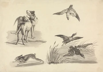 Ark med studier af hunde, harer, falke og ænder