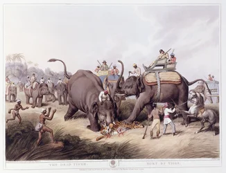 Den døde tiger; Mort du tigre, 1807