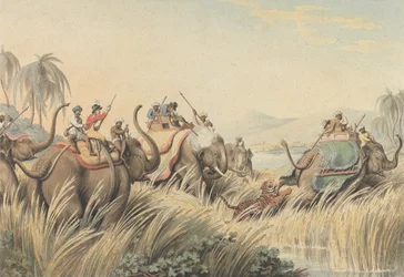 Tigeren i defensiven: en illustration til kaptajn Thomas Williamsons „Oriental Field Sports“