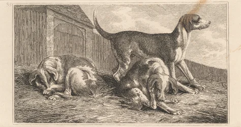 Tre Hunde