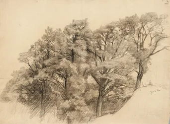 Landskab med træer, 1884 (trækul på bopapir)