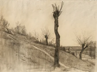 Sen vinterlandskab, 1884 (trækul på buff bindet papir)