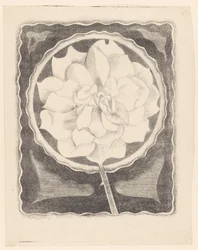 Rose (i cirkel, med bølget kant)