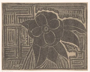Camellia (sort; omkring et labyrint-lignende mønster)