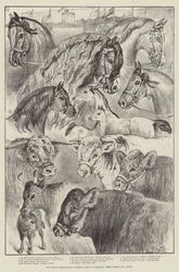 The Royal Agricultural Society