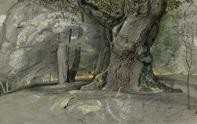 Egetræ og bøg, Lullingstone Park