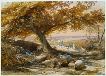 Får i skyggen, ca. 1851