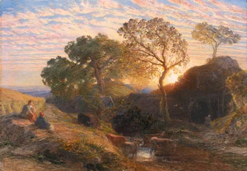 Solnedgang