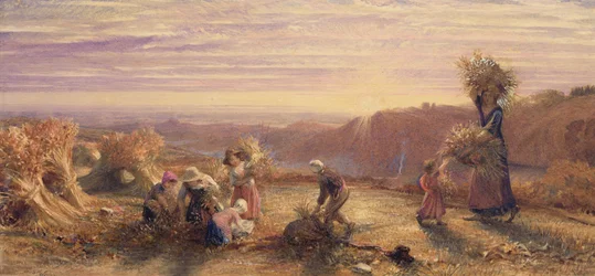 Solnedgang over gleaning Fields