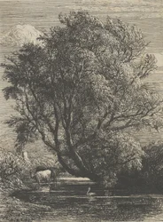 Pilen, 1850.