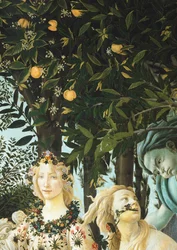 Flora, Zephyrus og Cloris, detalje fra The Allegory of Spring (Primavera), ca. 1477-1482 (tempera på træ)