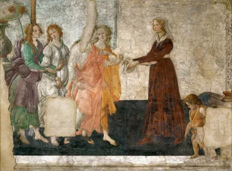 Venus og de tre gratier tilbyder gaver til en ung pige, 1484-1486
