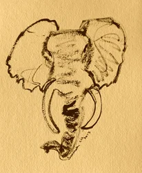 Skitse af afrikansk elefant