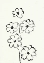 Blomsterskitse med kul