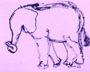 Tegning af en nysgerrig elefant